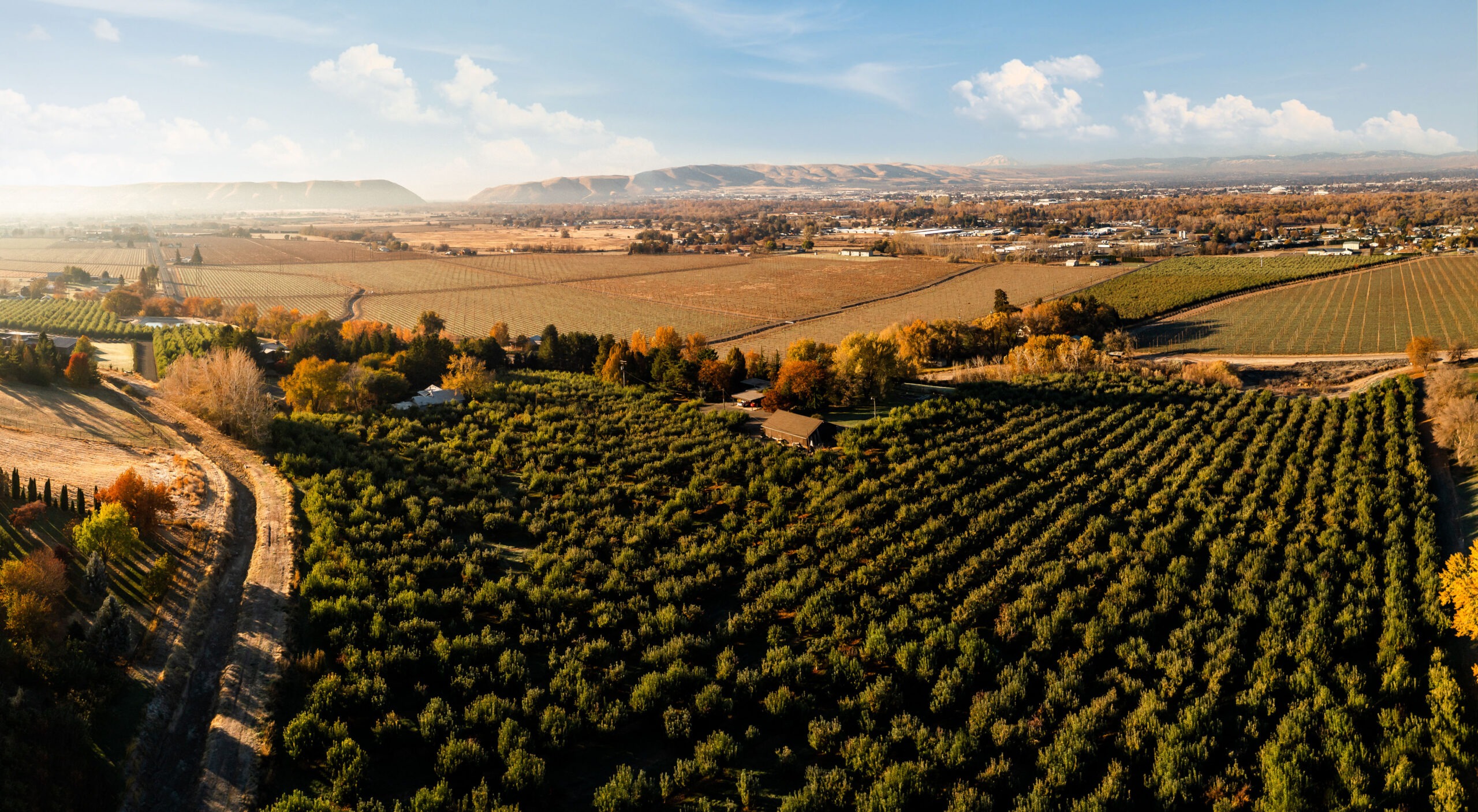 Yakima Valley Orchard View